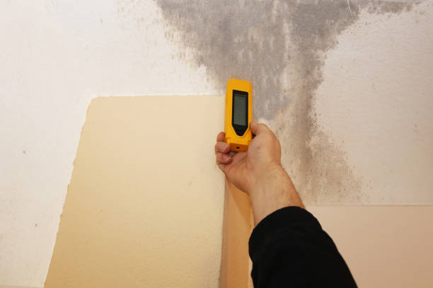 Best Dehumidification Services  in Adelanto, CA