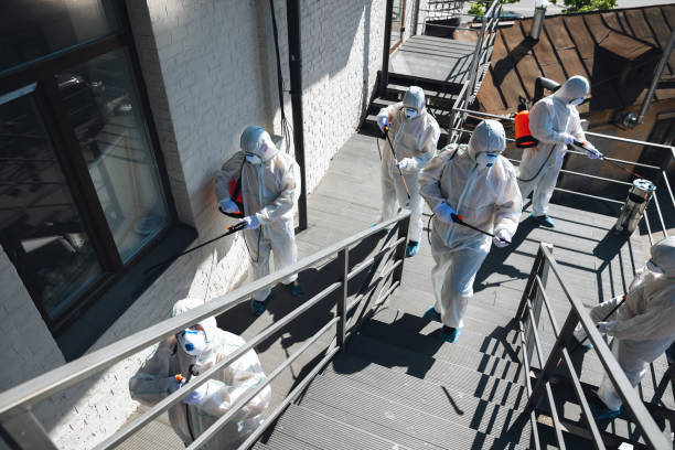 Best Mold Damage Restoration  in Adelanto, CA