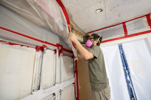 Best Emergency Mold Remediation  in Adelanto, CA